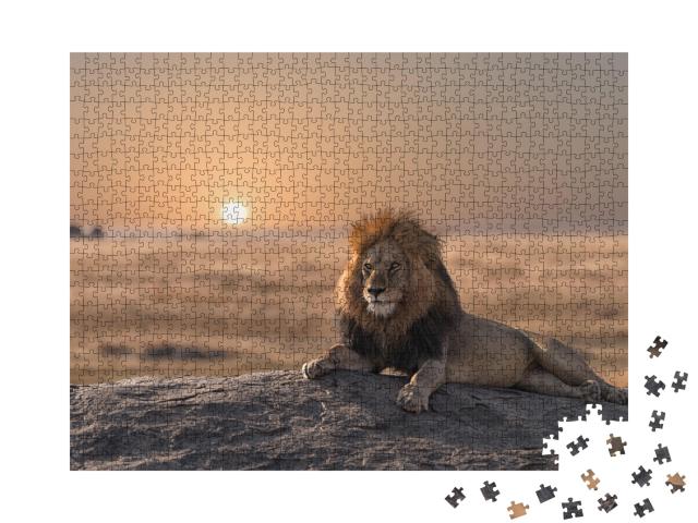 Puzzle de 1000 pièces « Un lion majestueux au coucher du soleil »