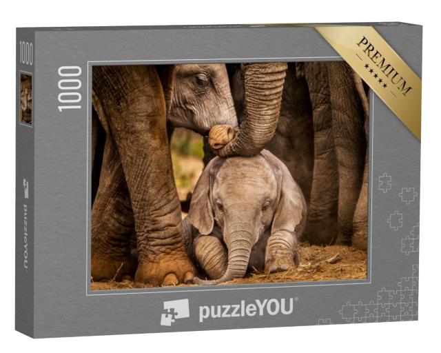 Puzzle de 1000 pièces « L'éléphanteau sous la protection du troupeau »