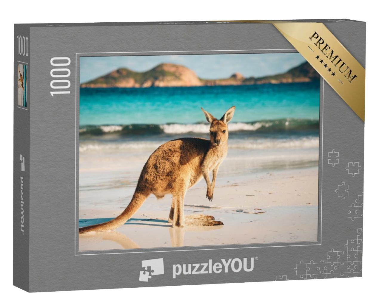 Puzzle de 1000 pièces « Känguru, Lucky Bay, Parc national de Cape Le Grand, Australie »