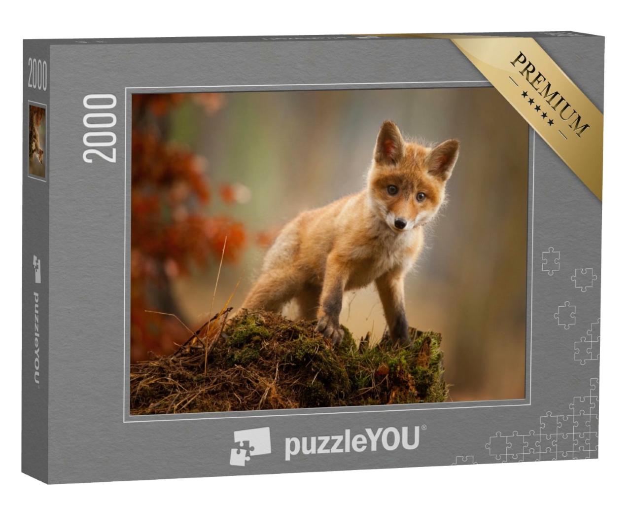 Puzzle de 2000 pièces « Un jeune renard »