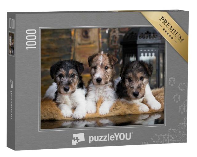 Puzzle de 1000 pièces « Adorables chiots fox-terriers sur leur couverture douillette »