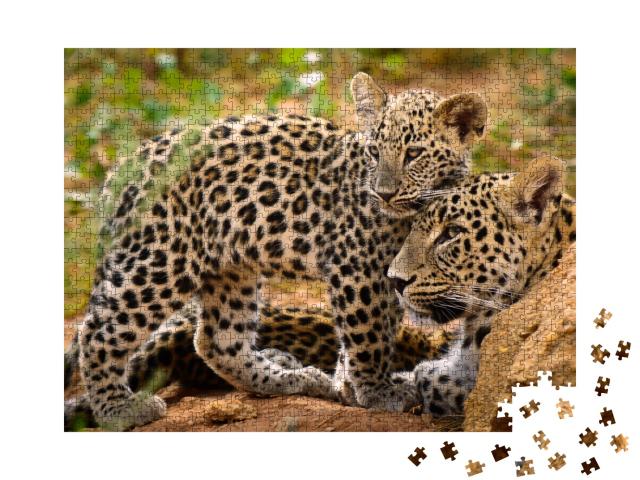 Puzzle de 1000 pièces « Maman léopard et son petit »