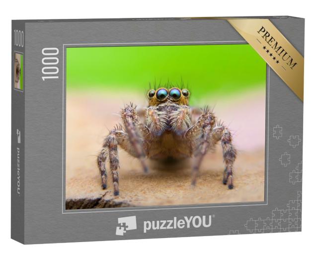 Puzzle de 1000 pièces « Super macrophotographie de l'araignée sauteuse »