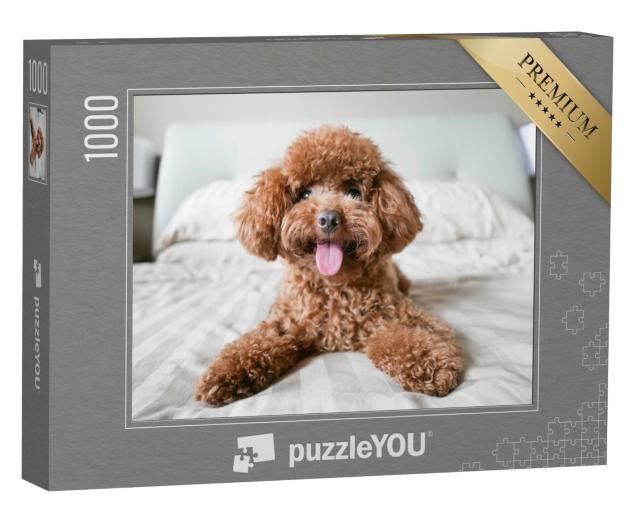 Puzzle de 1000 pièces « Adorable caniche en peluche sur le lit »