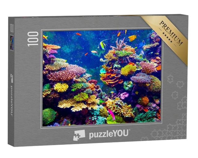 Puzzle de 100 pièces « Aquarium de Singapour - Récif corallien et poissons tropicaux sous la lumière du soleil »
