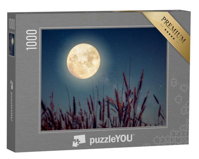Puzzle de 1000 pièces « Pleine lune sur des épis d'automne »
