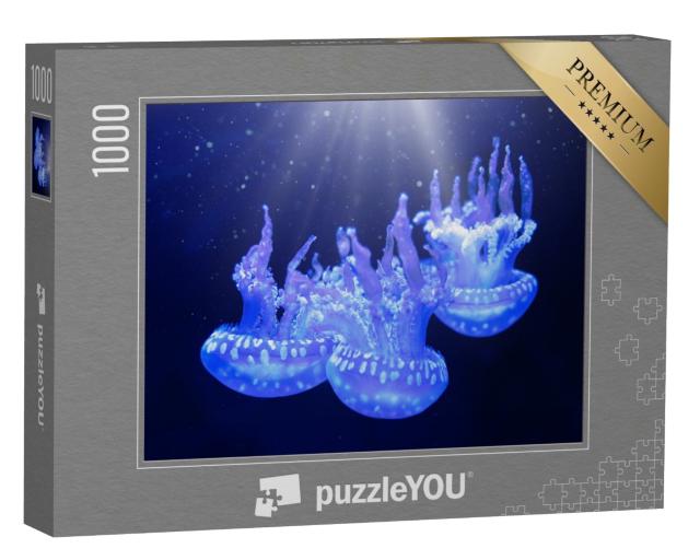 Puzzle de 1000 pièces « La méduse tachetée du lagon »