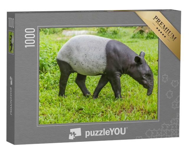 Puzzle de 1000 pièces « Tapir se nourrissant de grandes plantes »