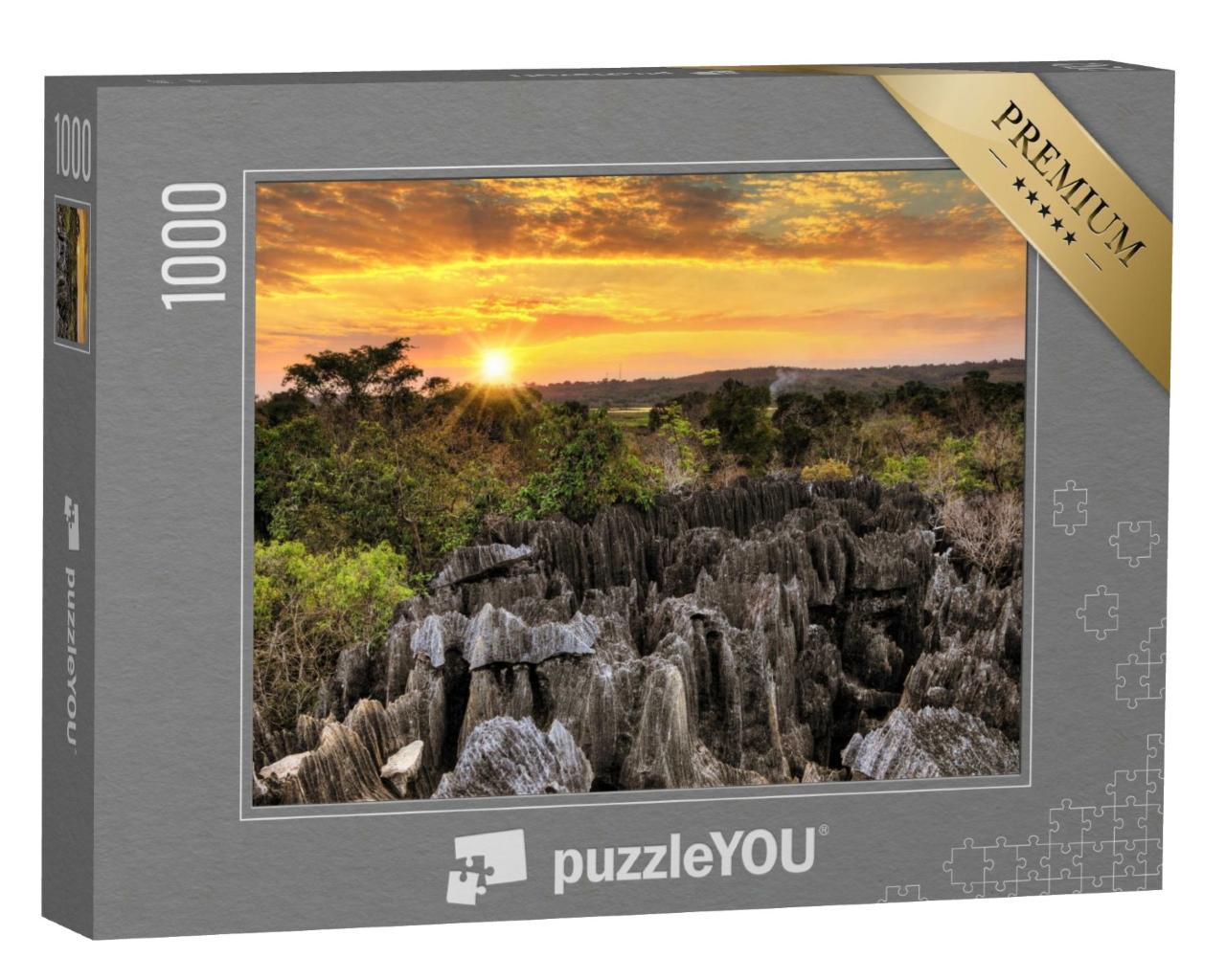 Puzzle de 1000 pièces « Une géographie unique dans le parc national Tsingy de Bemaraha, Madagascar »