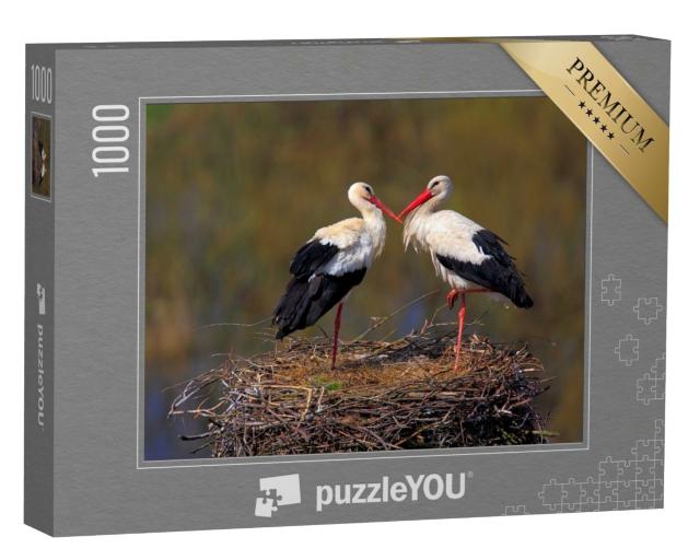 Puzzle de 1000 pièces « Couple de cigognes blanches pendant la période de reproduction printanière »