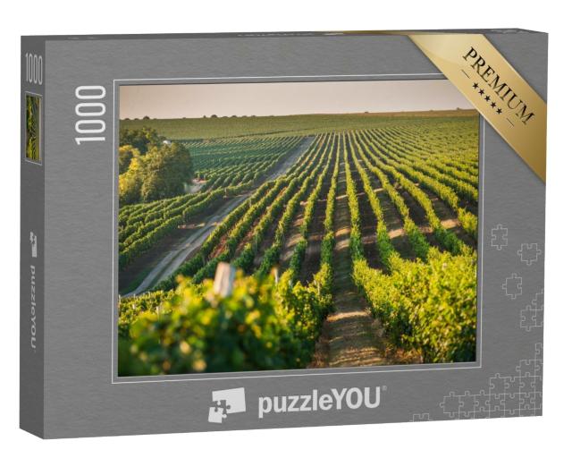 Puzzle de 1000 pièces « Vignoble pour la culture de la vigne en été »