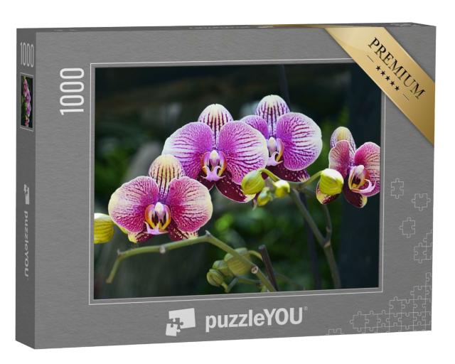 Puzzle de 1000 pièces « Floraison d'orchidées dans un jardin tropical »