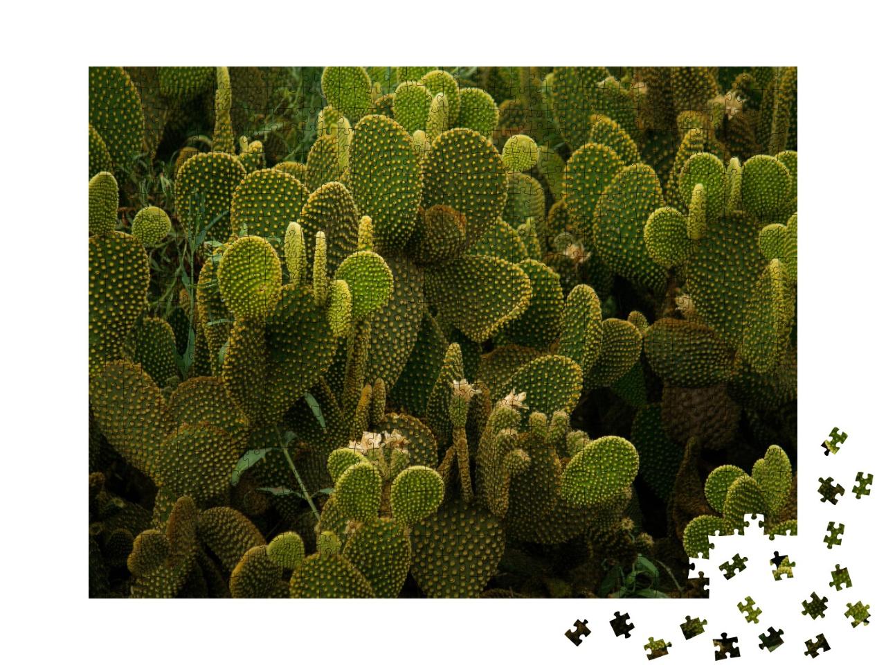 Puzzle de 1000 pièces « Texture du désert : Angel Wings cactus en gros plan »