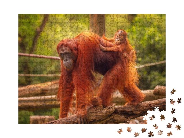 Puzzle de 1000 pièces « Jeune orang-outan sur le dos de sa mère »