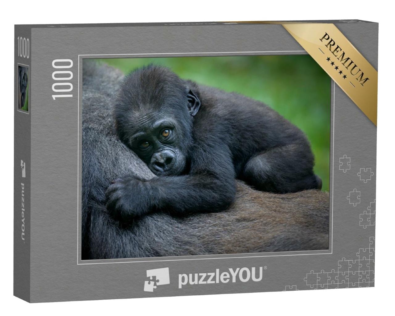 Puzzle de 1000 pièces « Un bébé gorille »