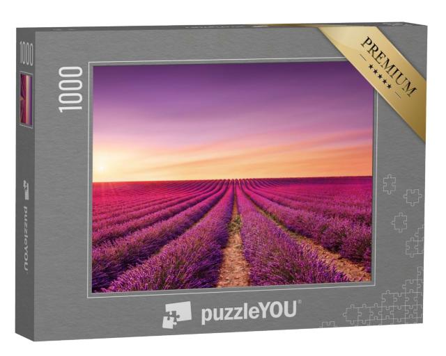 Puzzle de 1000 pièces « Fleurs de lavande : champs en fleurs au coucher du soleil, Provence, France »