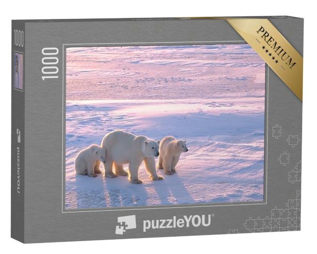 Puzzle de 1000 pièces « Ours polaire avec ses petits dans l'Arctique canadien »