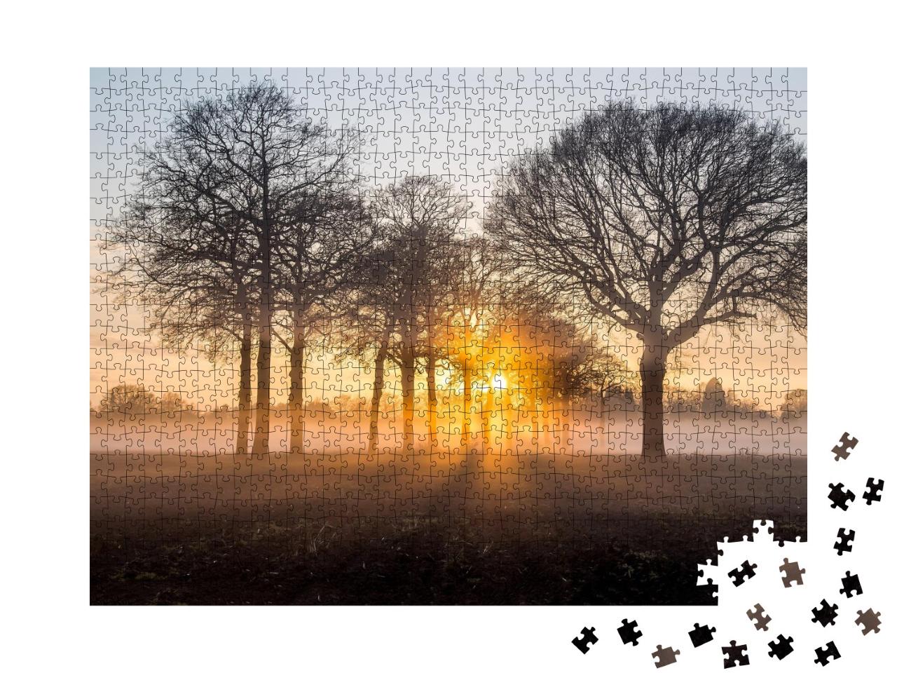 Puzzle de 1000 pièces « Lever de soleil entre les arbres dans la brume matinale »