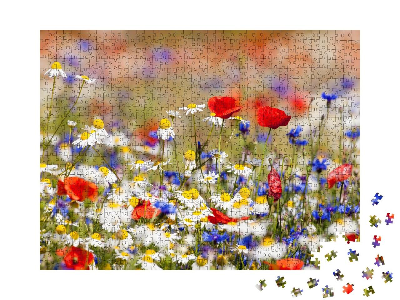 Puzzle de 1000 pièces « Fleurs sauvages en fleur dans la prairie au printemps »