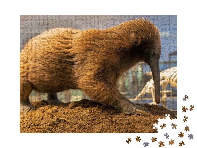 Puzzle de 1000 pièces « Le long bec australien, fourmilier épineux »