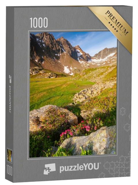 Puzzle de 1000 pièces « Magnifiques montagnes de la Stubai, Tyrol »