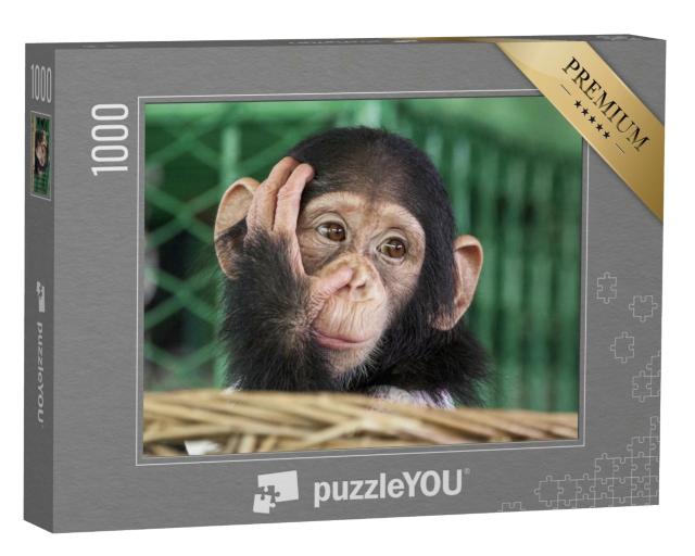 Puzzle de 1000 pièces « Un petit chimpanzé »
