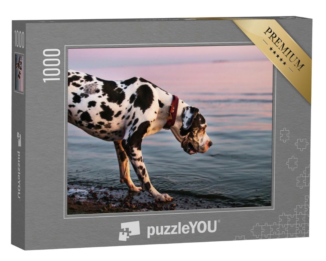 Puzzle de 1000 pièces « Dogue allemand en promenade le soir »