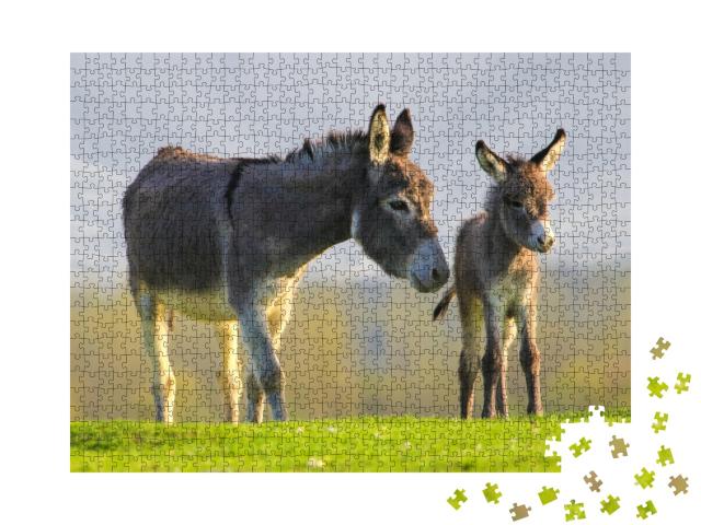 Puzzle de 1000 pièces « Un petit âne gris et sa mère dans un champ de fleurs »