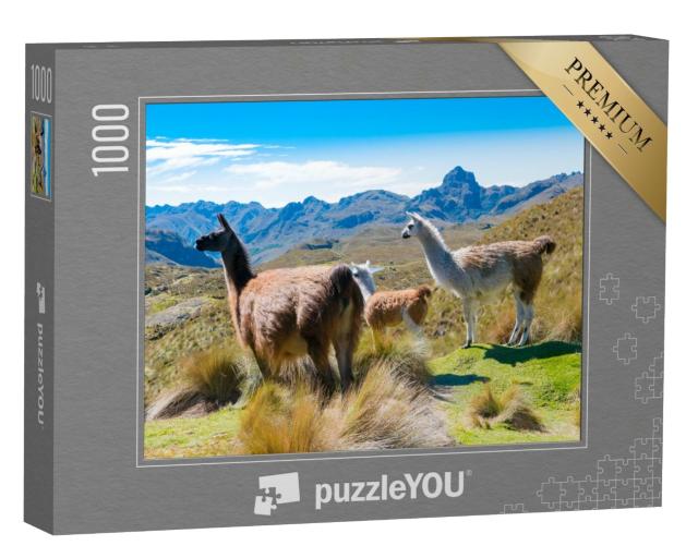 Puzzle de 1000 pièces « Lamas dans le parc Cajas Cuenca, Équateur »