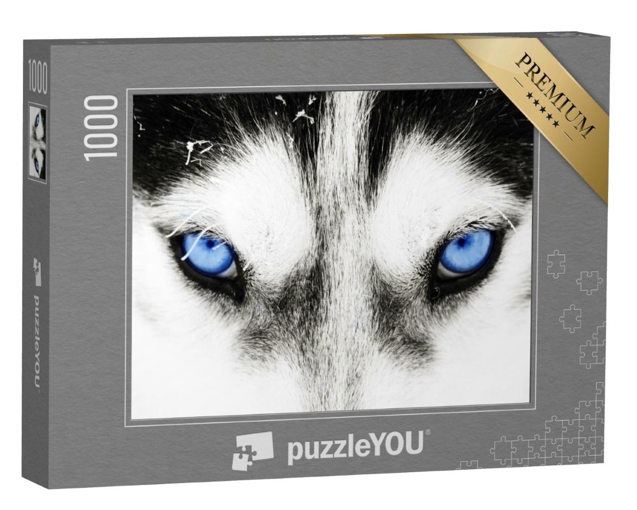 Puzzle de 1000 pièces « Gros plan : les yeux bleus d'un chien husky »