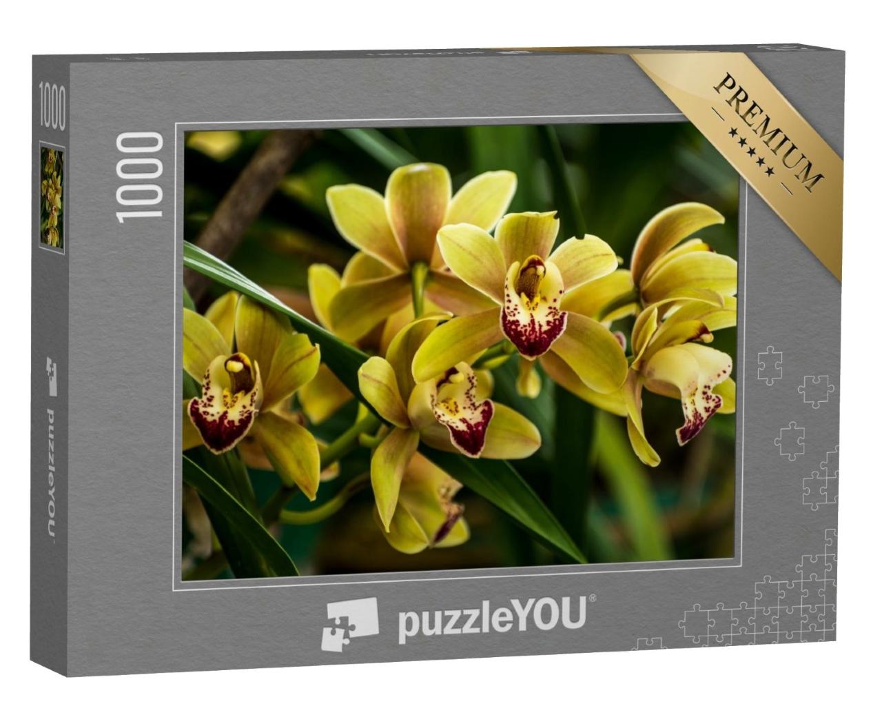 Puzzle de 1000 pièces « Orchidées de bateau en Inde »