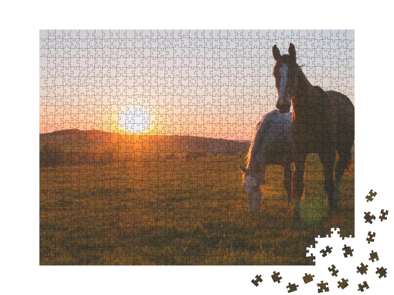 Puzzle de 1000 pièces « Deux chevaux au coucher du soleil »