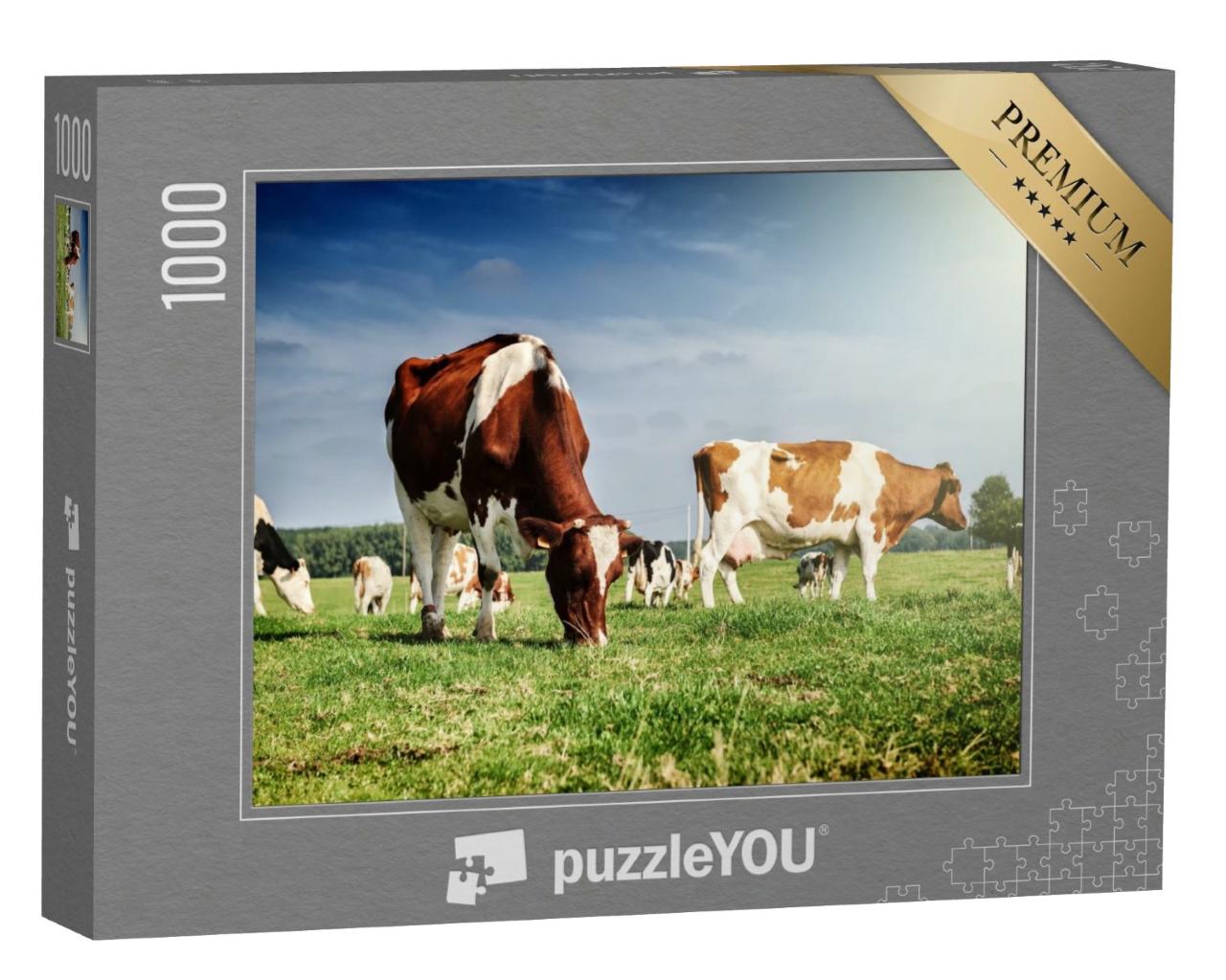 Puzzle de 1000 pièces « Troupeau de vaches dans une prairie d'été »