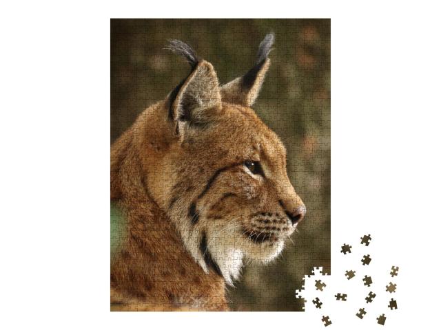 Puzzle de 1000 pièces « Profil du lynx eurasien, Bavière, Allemagne »