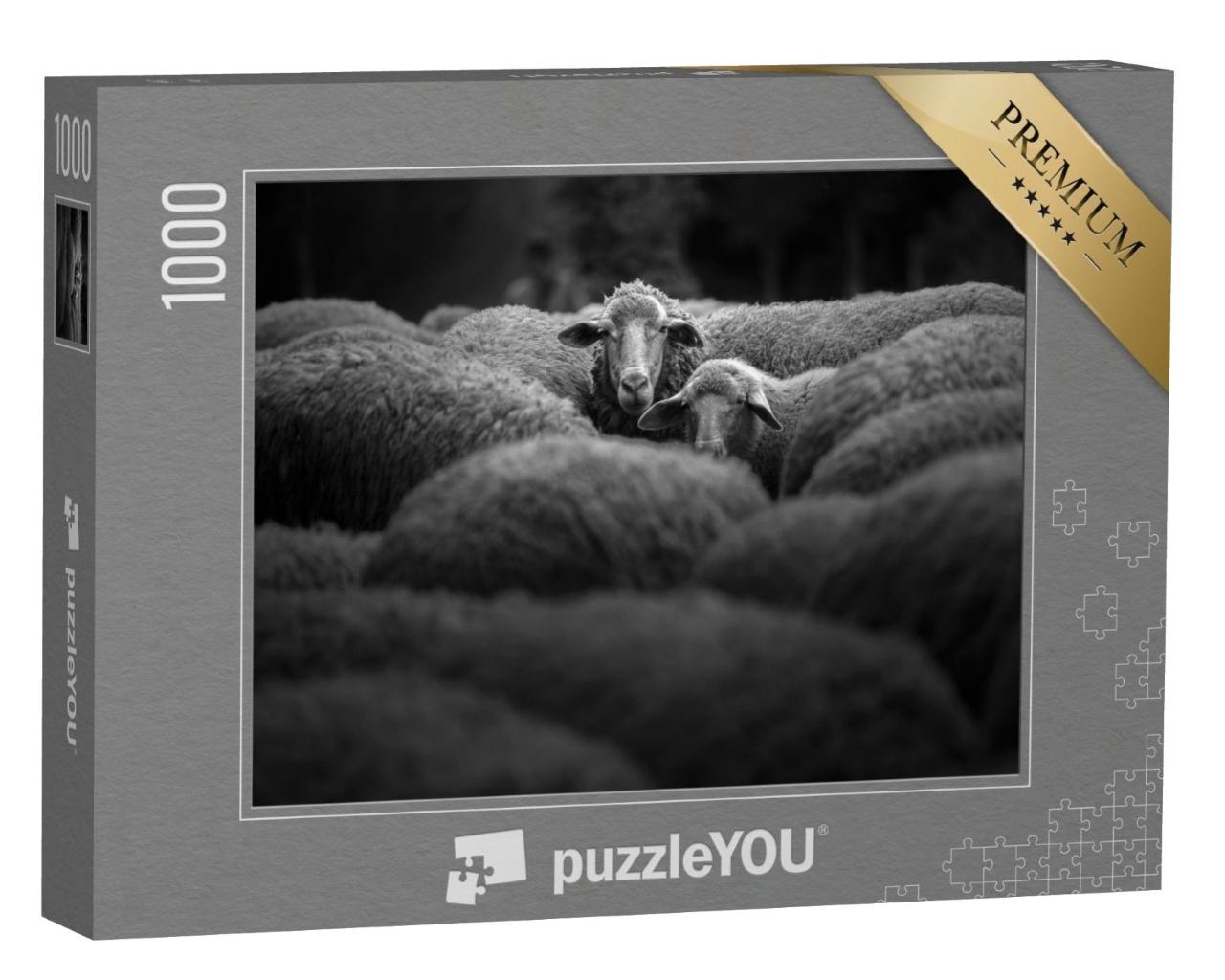 Puzzle de 1000 pièces « Troupeau de moutons, noir et blanc »