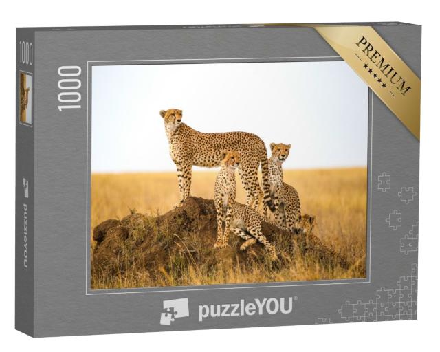Puzzle de 1000 pièces « Guépards dans le parc national du Serengeti, Tanzanie »