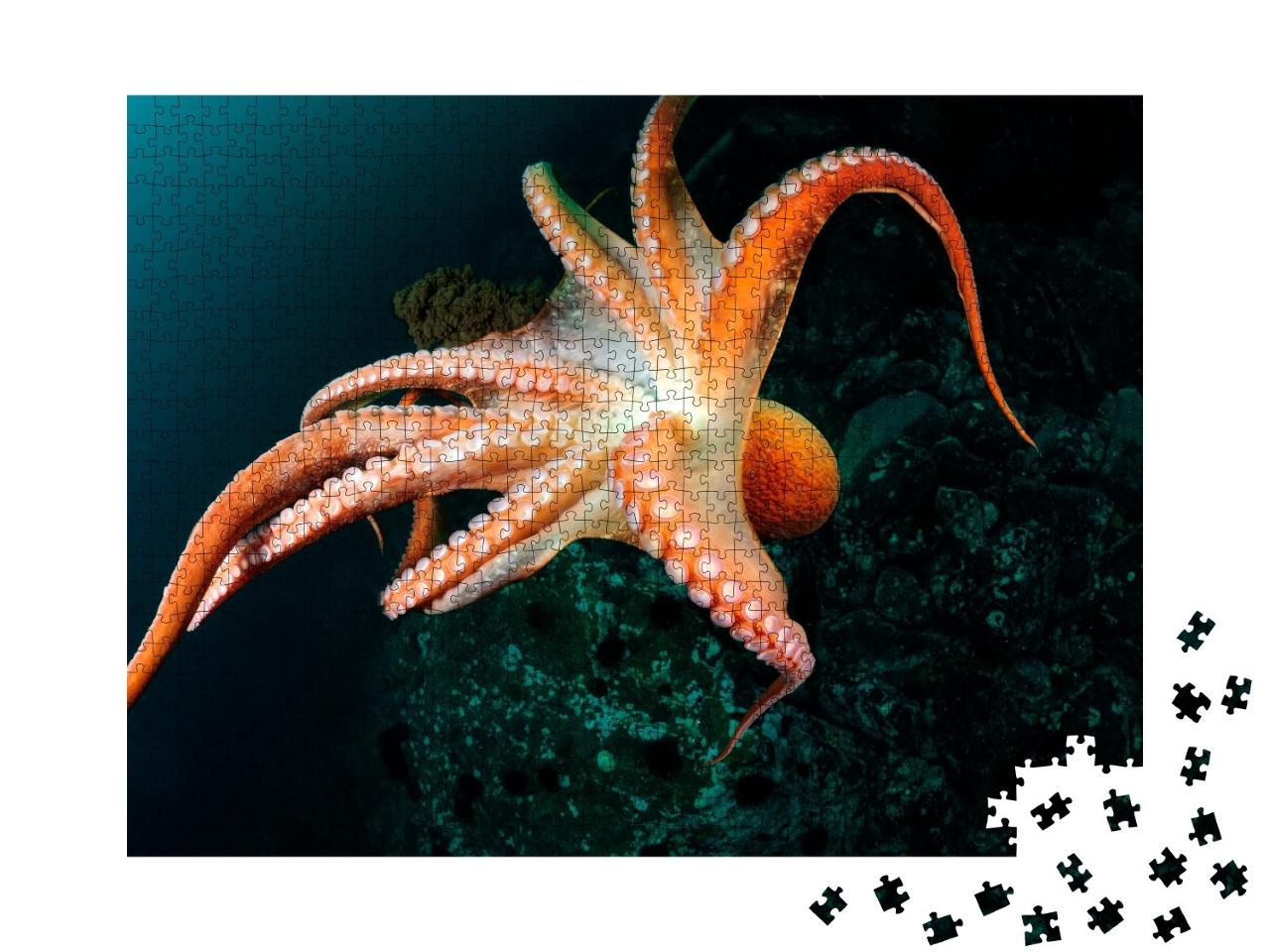 Puzzle de 1000 pièces « Vol d'une pieuvre géante dans les profondeurs de l'océan »