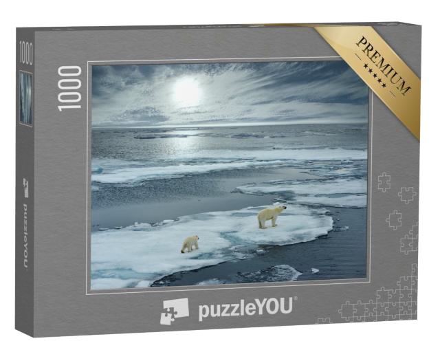 Puzzle de 1000 pièces « Ourse polaire et son ourson sur une banquise, Norvège »