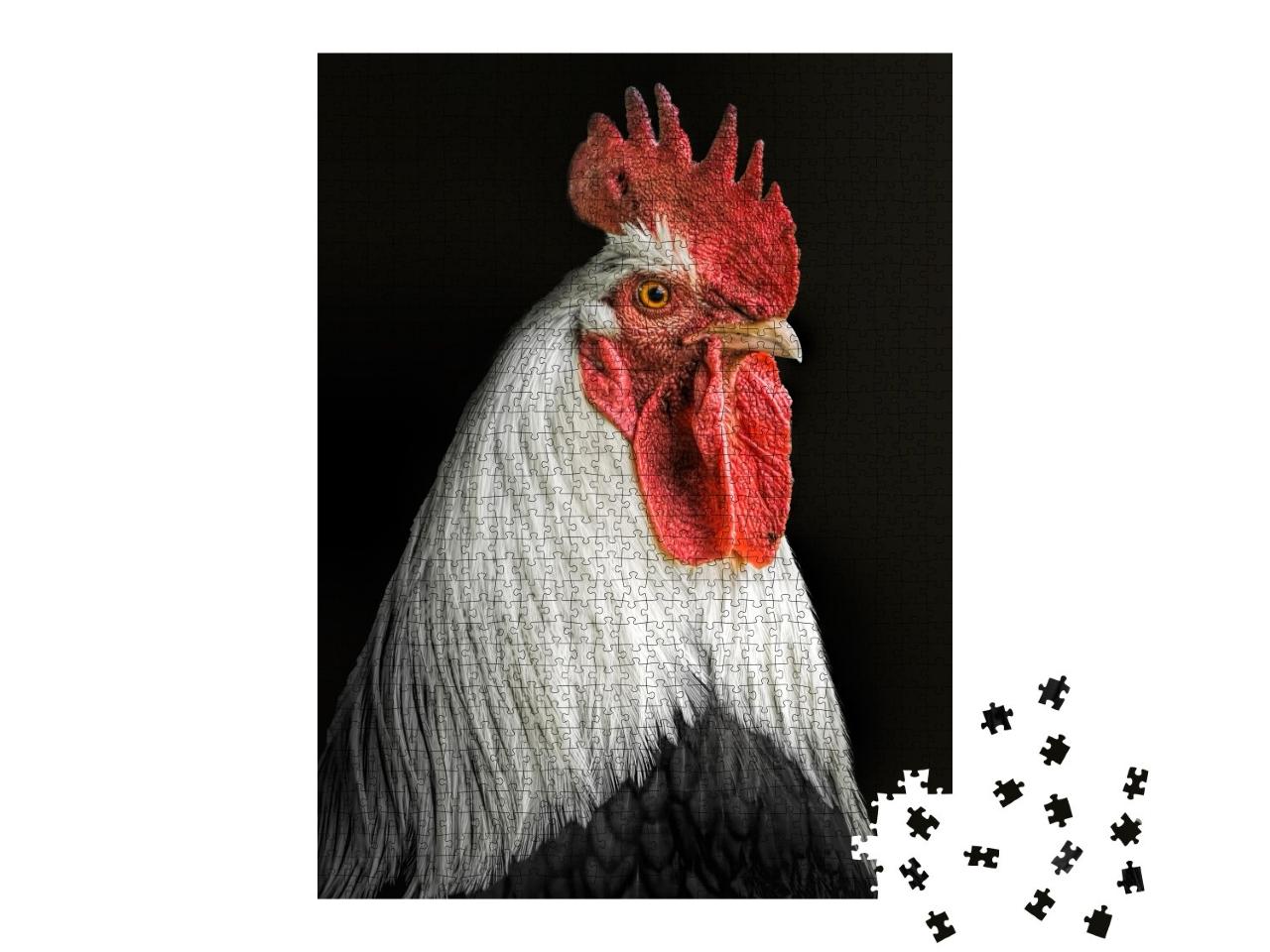 Puzzle de 1000 pièces « Portrait d'un coq »