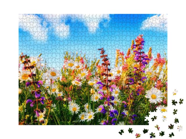 Puzzle de 1000 pièces « Des fleurs printanières colorées dans une prairie »