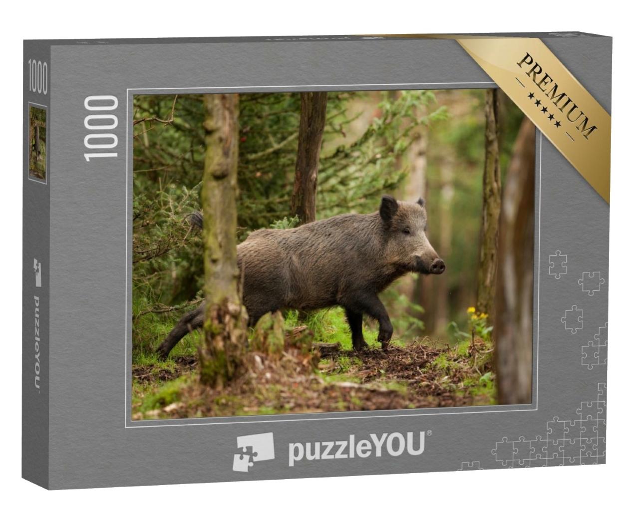 Puzzle de 1000 pièces « Le sanglier dans les forêts de la République tchèque »
