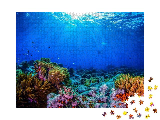 Puzzle de 1000 pièces « Magnifique récif corallien »