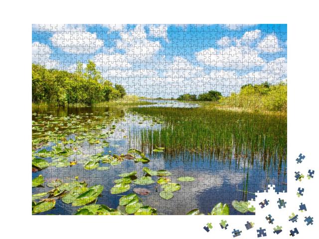 Puzzle de 1000 pièces « Parc national des Everglades en Floride, États-Unis »