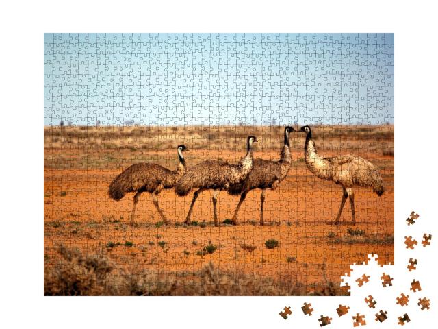 Puzzle de 1000 pièces « Emeus à l'état sauvage, Outback New South Wales, Australie. »