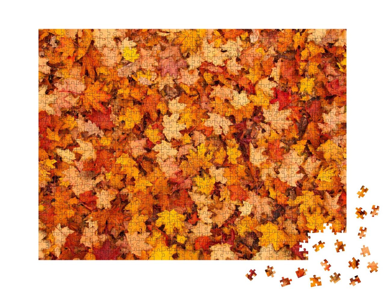 Puzzle de 1000 pièces « Feuilles d'automne rouges et oranges »