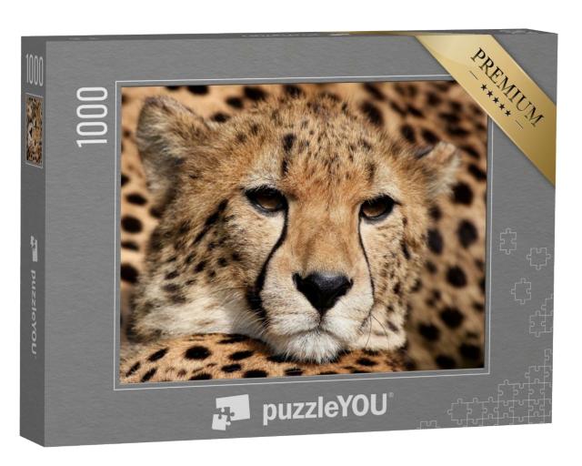 Puzzle de 1000 pièces « Portrait d'un guépard »