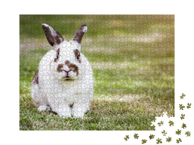 Puzzle de 1000 pièces « Gentil lapin tacheté sur l'herbe verte »