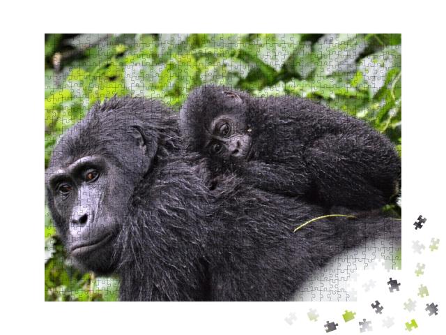 Puzzle de 1000 pièces « Bébé gorille couché sur le dos de sa mère dans la forêt de Bwindi Impenetrable »