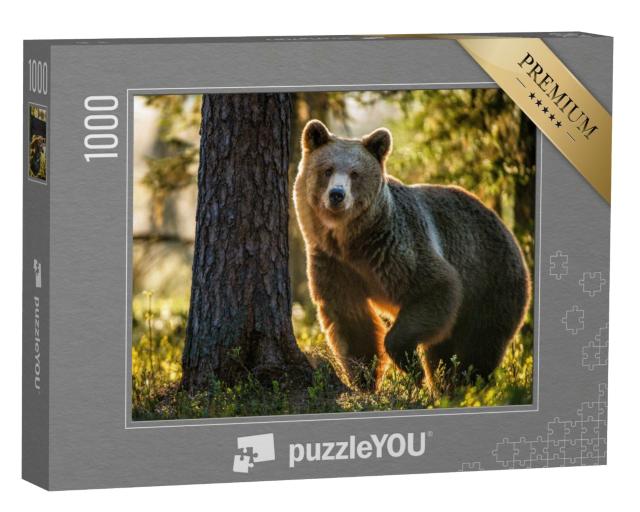 Puzzle de 1000 pièces « Ours brun dans la forêt d'été »