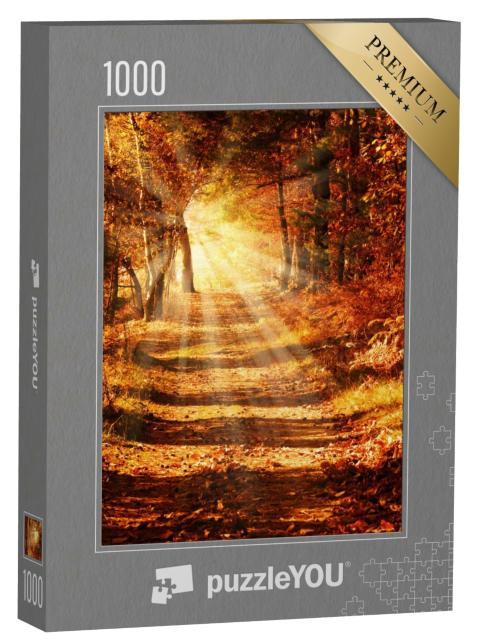 Puzzle de 1000 pièces « Rayons de soleil sur un chemin forestier en automne doré »